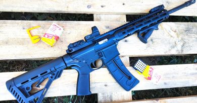 Smith & Wesson MP15-22 .22 LR: plasztik-(nemolyan)fantasztik